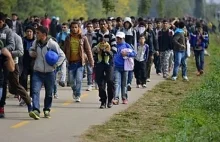 Polska głosowała w ONZ za Paktem ws. Uchodźców! « Wolne Media
