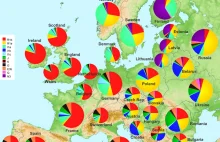 Genetyczne pochodzenie mieszkańców Europy [rasistowska mapa do rozkminek]