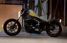 Iron 883 Thunderbike