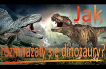 Zaloty wagi ciężkiej czyli jak to robiły dinozaury?