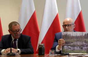 Prace w Puszczy Białowieskiej nie zostaną przerwane