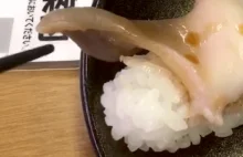 Wyjątkowo „świeże” sushi. Rusza się na talerzu