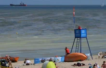 Polacy rzadko rezygnują z urlopu nad Bałtykiem z powodu sinic | Z kraju