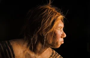 Matka neandertalka, ojciec denisowianin - odkryto hybrydę tych dwóch...