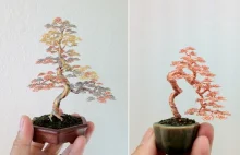 Miniaturowe drzewka bonsai
