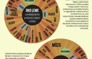 Co Twoje oczy mówią o Tobie [infografika]