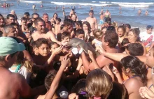 Turyści zamęczyli delfina na plaży, bo każdy chciał mieć z nim selfie.