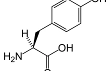Substancje wspomagające cz.3- Tyrozyna