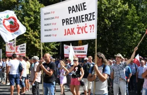 Sadownicy protestują w Warszawie. "Będziesz pan pracował za 35 groszy za...