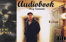 Nagrałem muzyczny Audiobook. Opowieść, okraszona autorskim rapem "Trzy sumienia"