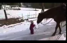 Koń i jego dziewczynka