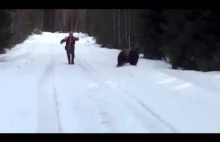 Jak obronić się przed atakującym niedźwiedziem.
