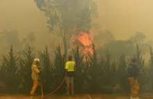 Australia: Zaginął samolot, który uczestniczył w akcji gaszenia pożarów.