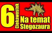 6 Ciekawostek na temat Stegozaura