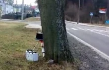 Jak Straże Miejskie nie poprawiają bezpieczeństwa ! okradają i manipulują...