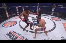 Paul Daley Knockout - Najlepszy Nokaut 2017 OMG