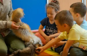 Dzieci w przedszkolu "bawiły się" martwymi zwierzętami