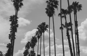 Kilka dni w Los Angeles z fotograf Olą Kowalską
