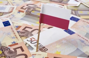 Euro poniżej 4,25 zł. Złoty najmocniejszy od roku