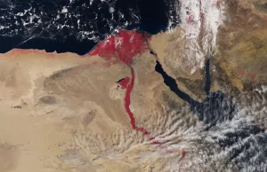 Krwistoczerwony Nil. Czy to plaga egipska?