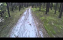 Funny Video: Grizzly Bear Chases Man On Bicycle Through The Woods