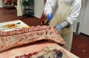 Kolejna afera z polskim mięsem. Fałszowana wołowina. Islamiści są wściekli
