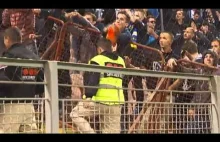Kibice Belgii i Bośni wymieniają się szalikami po meczu