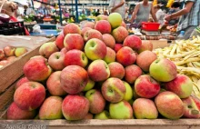 Polskie jabłka już niedługo trafią do Indii?