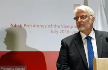 Waszczykowski: demonstracji przeciw Trumpowi nie będzie. Chyba że z...