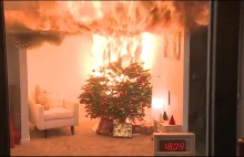 Zobacz jak szybko pali się świąteczne drzewko!