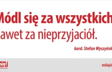 Protest wywołują katolickie reklamy na autobusach