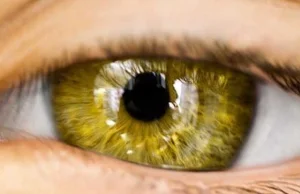 Co kolor oczu mówi o twoim zdrowiu
