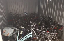 Plaga kradzieży rowerów w Holandii. Szajki złodziei z Polski zatrzymane