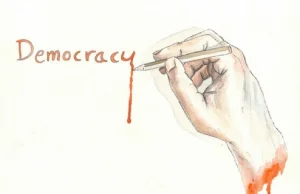Ziółkowska: Demokracja bezpośrednia jako źródło cierpień