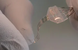 Elastyczny implant może postawić na nogi sparaliżowanych