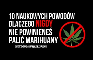 10 naukowych powodów żeby NIGDY nie palić marihuany