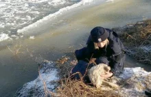 Pod psem załamał się lód. Policjantka weszła do lodowatej wody i uratowała psa.