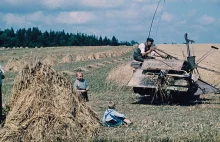 III Rzesza i próba modernizacji rolnictwa na okupowanych ziemiach polskich