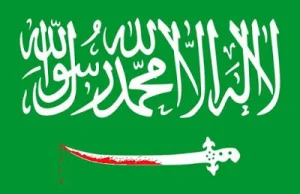 12 dzieci i 10 kobiet zginęło w saudyjskim nalocie