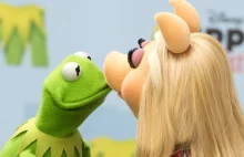 Kermit i Piggy się rozstali, czyli jak promować serial w social media