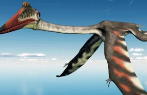 Na Pustyni Gobi badacze odnaleźli szczątki monstrualnych rozmiarów pterozaura.