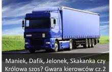 Maniek, Dafik, Jelonek, Skakanka czy Królowa szos...czyli gwara kierowców...