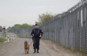 Węgry odpowiadają na rezolucję europarlamentu. Mur na granicy zostanie