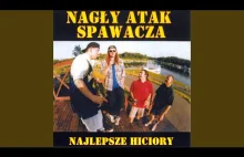 Nagły Atak Spawacza - Kazio Wihóra