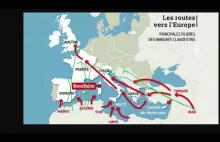 Muzułmanie w Europie mają pomoc państwa socjalnego jak kiedyś Murzyni w USA