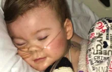 Włoski senator twierdzi, że Alfie Evans został zamordowany