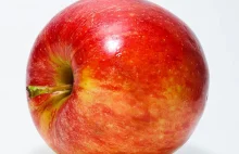 PKP IC od środy będzie rozdawać darmowe jabłka
