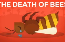 Animowany film wyjaśniający problem masowego wymierania pszczół, polskie napisy