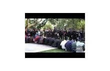 Policja używa gazu na pokojowym proteście studentów UC Davis