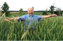 Pionierzy ekologicznych upraw zbóż